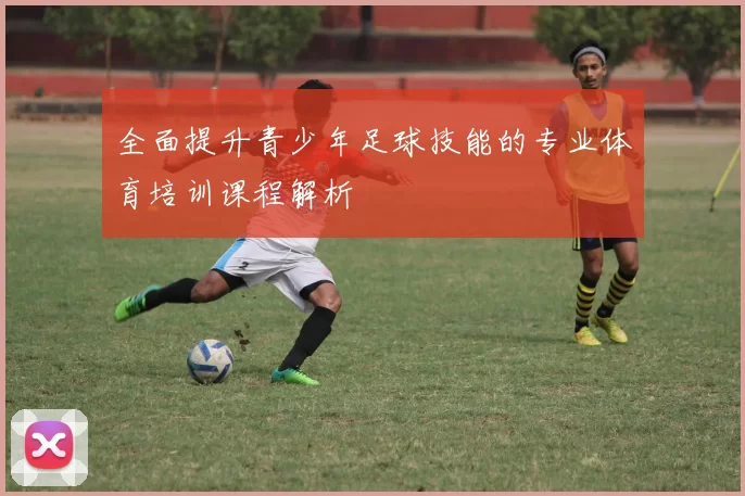 全面提升青少年足球技能的专业体育培训课程解析