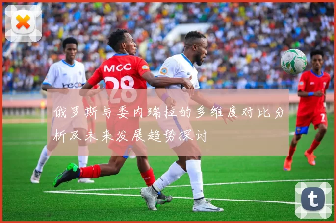 俄罗斯与委内瑞拉的多维度对比分析及未来发展趋势探讨